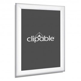 Portrait Acrylic Showcard Poster Sleeve